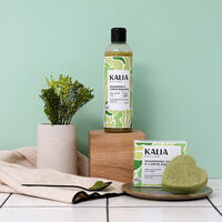 Shampooing solide purifiant &agrave; l'ortie piquante