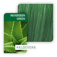 Coloration semi-permanente Color Fresh Create neverseen green