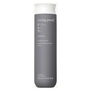 Shampooing Perfect Hair Day