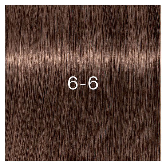 Coloration Igora Zero Amm 6-6 blond fonc&eacute; chocolat