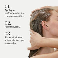 Shampooing r&eacute;g&eacute;n&eacute;rant pour cuirs chevelus normaux &agrave; gras Renewing Elements 500ml
