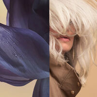 Soin apr&egrave;s-shampooing Neutralize