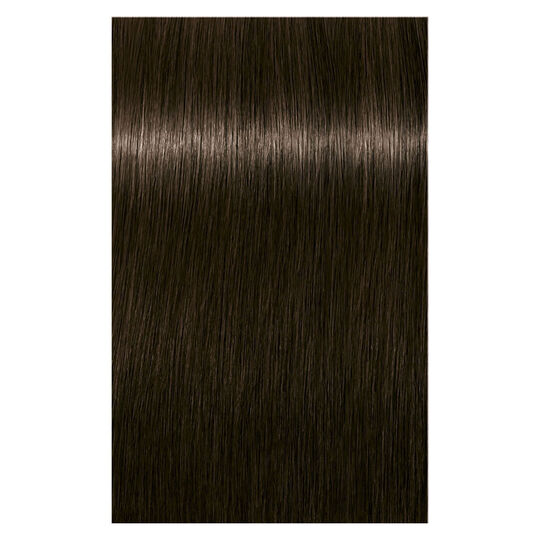 Coloration permanente Igora Royal 3-65 ch&acirc;tain fonc&eacute; chocolat dor&eacute;