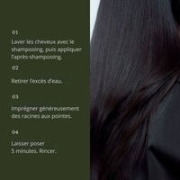 Traitement haute brillance Perfect Hair Day