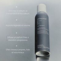 Shampooing sec Perfect Hair Day