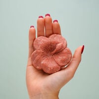 Trousse découverte à l'hibiscus