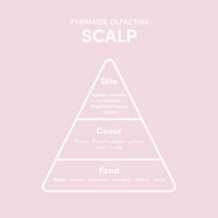 Rituel volumateur pour cheveux fins