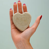 Shampooing solide purifiant à l'ortie piquante