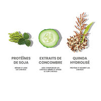 Shampooing lissant Smooth Me Now 300ml