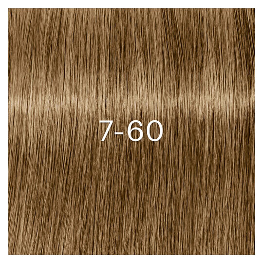 Coloration Igora Zero Amm 7-60 blond cover chocolat