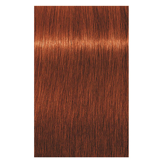 Coloration permanente Igora Royal 6-77 blond fonc&eacute; cuivr&eacute; extra
