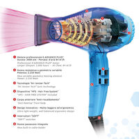 S&egrave;che-cheveux Alyon