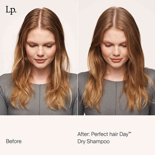 Shampooing sec Perfect Hair Day