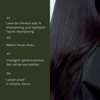 Traitement haute brillance Perfect Hair Day