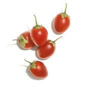 Crème de lissage anti frisottis Invigo Nutri-Enrich,  Crème de lissage anti frisottis Invigo Nutri-Enrich