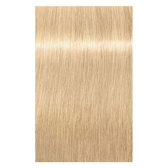 Coloration permanente Igora Royal 12-4 sp&eacute;cial blonde beige
