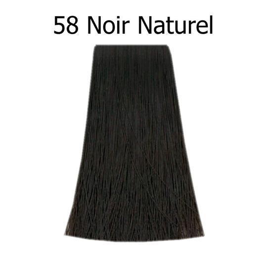 Poudre colorante Bigen 58 Noir Naturel