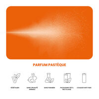 Spray texturisant Dry Finish