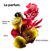 Mini kit brillance miroir Vitamino Color Spectrum