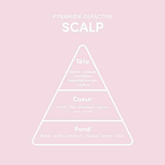 Duo s&eacute;rum pousse Scalp et dermaroller