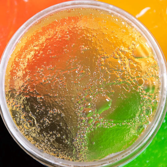 Gel&eacute;e &agrave; l'alo&eacute; vera et tea tree Aloe Locks