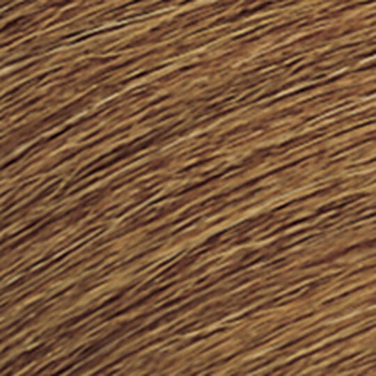 Coloration ton sur ton Shades EQ Gloss 06WG dor&eacute; chaud mango