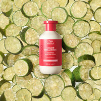 Shampooing cheveux colorés fins à normaux Invigo Color Brilliance 300ml