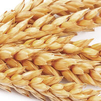 Crème nutritive sans rinçage pour cheveux secs