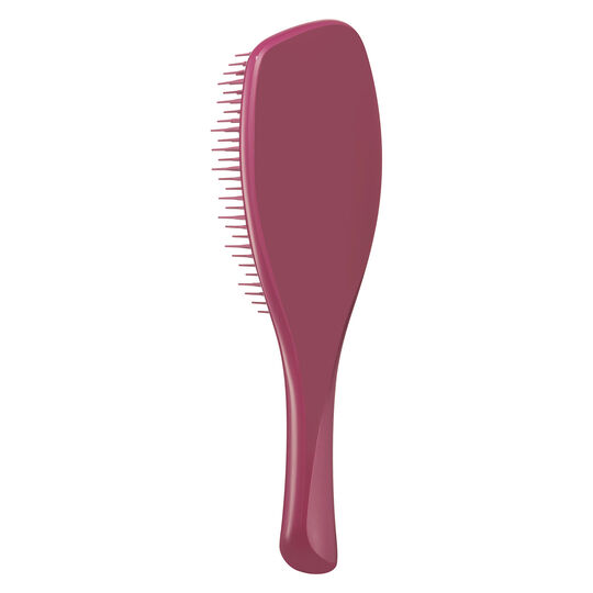 Brosse Complete Care Brush glossed raspberry