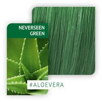 Coloration semi-permanente Color Fresh Create neverseen green