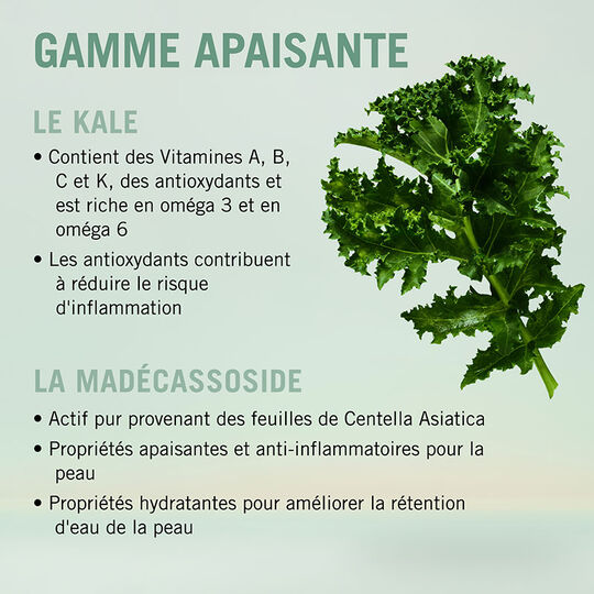 Sérum apaisant BC Scalp,  Sérum apaisant BC Scalp