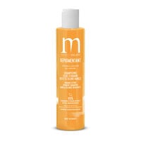 Shampooing repigmentant ocre d'havane
