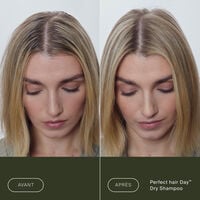 Shampooing sec Perfect Hair Day