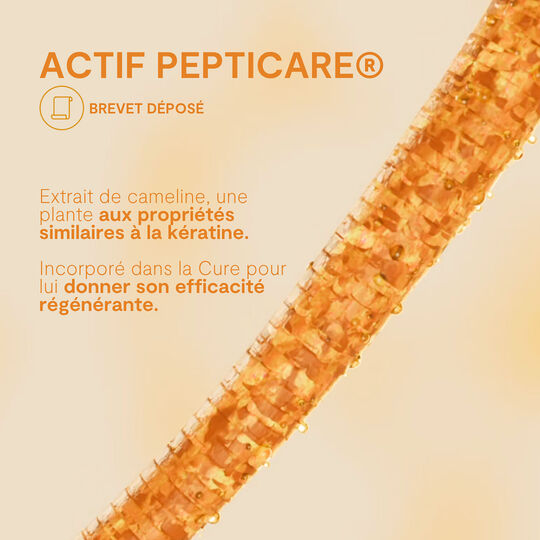 Shampooing r&eacute;g&eacute;n&eacute;rant