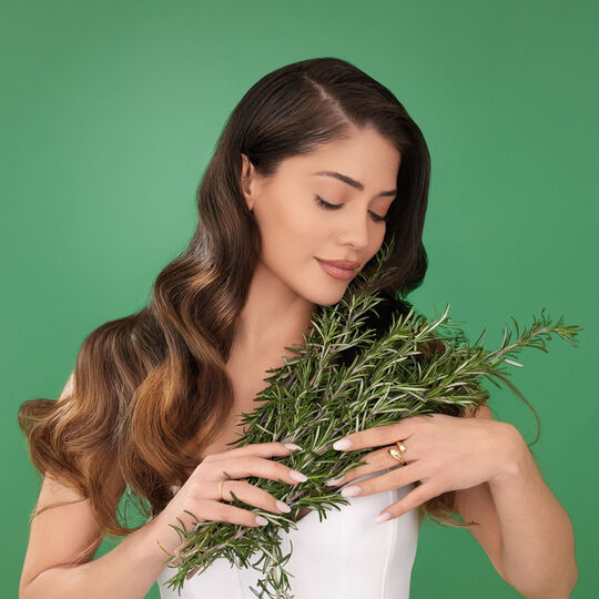 Shampooing rosemary