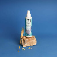 Spray thermo-protecteur Ic&ocirc;ne