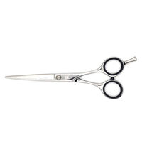 Ciseaux de coupe silver