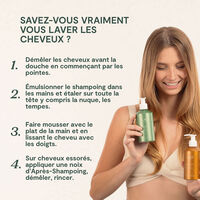 Shampooing purifiant