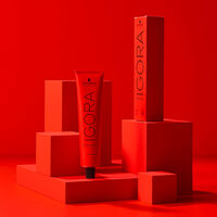 Coloration permanente Igora Royal 6-68 blond fonc&eacute; chocolat rouge