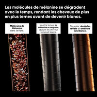 Coloration ton sur ton Dia Color 4.62 ch&acirc;tain rouge iris&eacute;