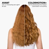 Duo cheveux fins color&eacute;s Color Motion+
