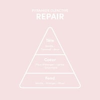 Shampooing cheveux abîmés Repair 300 ml