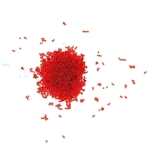 Crystal pixie Swarovski Radiant Red