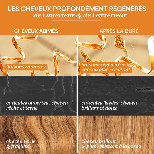 Cure r&eacute;g&eacute;n&eacute;rante