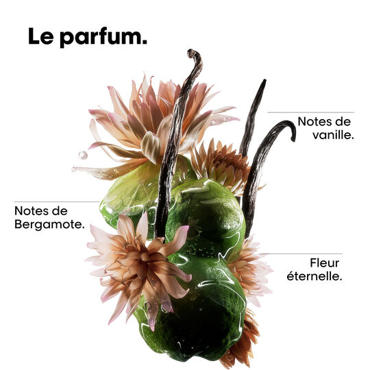 Mini kit r&eacute;paration & force Absolut Repair Molecular