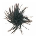 Ch&acirc;tain Fonc&eacute;