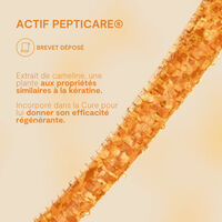 Cure r&eacute;g&eacute;n&eacute;rante trousse voyage
