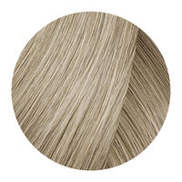 Patine Sola&iuml;a 10.13 blond tr&egrave;s tr&egrave;s clair cendr&eacute; dor&eacute;