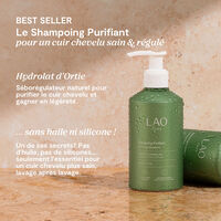 Shampooing purifiant