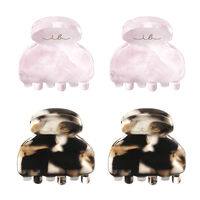 4 Petites pinces Clipstar,  4 Petites pinces Clipstar